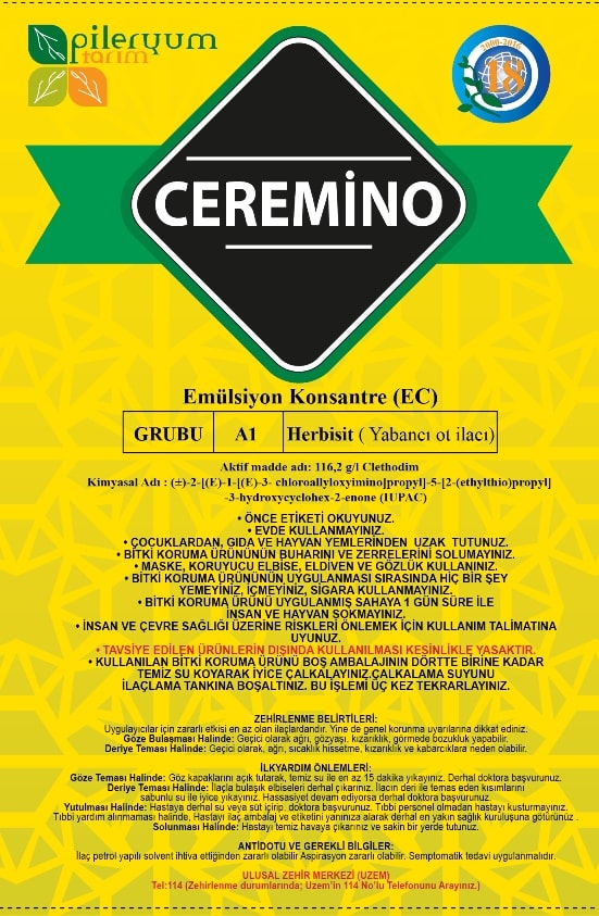 CEREMİNO